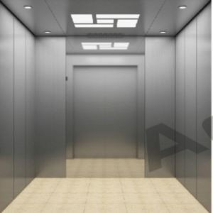 Customized 6 moun Passenger Lift